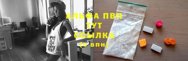 сатива Балахна